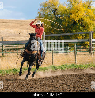 Kaukasische Frau mit Lasso auf Pferd beim rodeo Stockfoto