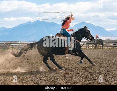 Kaukasische Frau mit Lasso auf Pferd beim rodeo Stockfoto