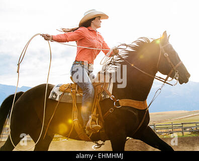 Kaukasische Frau auf Pferd werfen Lasso beim rodeo Stockfoto