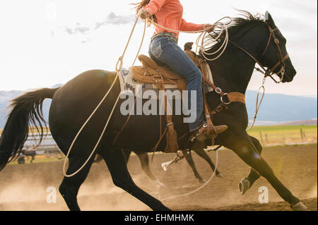 Kaukasische Frau auf Pferd werfen Lasso beim rodeo Stockfoto