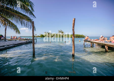 Sonnenanbeter am Split, Caye Caulker, Belize Stockfoto