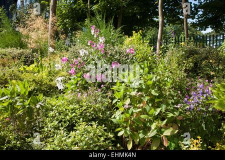 Garten neben dem Bahnhof in Dorridge, West Midlands Stockfoto