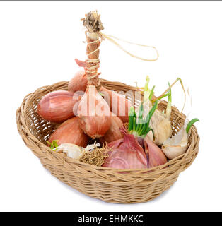 Schalotten und Zwiebeln in einem Korb auf dem weißen Hintergrund Stockfoto