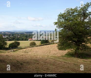 Blick in Richtung Hagley von Wychbury Hill, Hagley, West Midlands Stockfoto