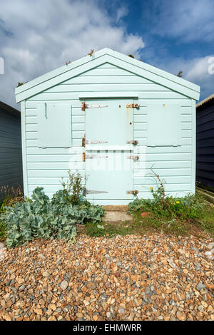 Ein Pastell Grün Strandhütte auf Schindel in St Leonards on Sea in Hastings, East Sussex Stockfoto