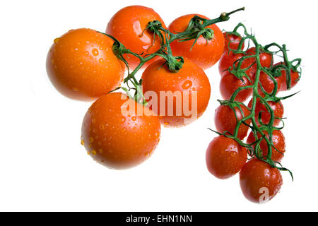Rote Tomaten in Wassertropfen Stockfoto