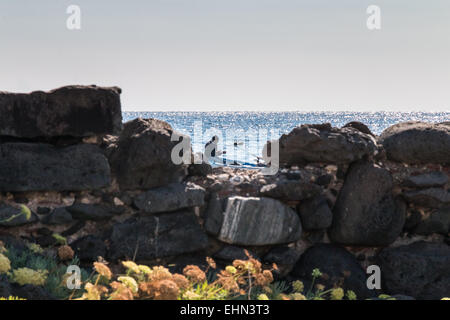 Fischer auf Lavafelsen Capomulini Siziliens Stockfoto