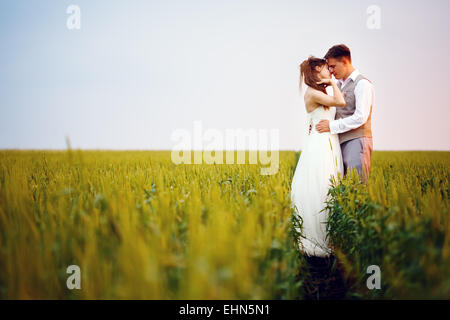 Glückliche junge Brautpaar küssen bei Sonnenuntergang im schönen Feld Stockfoto