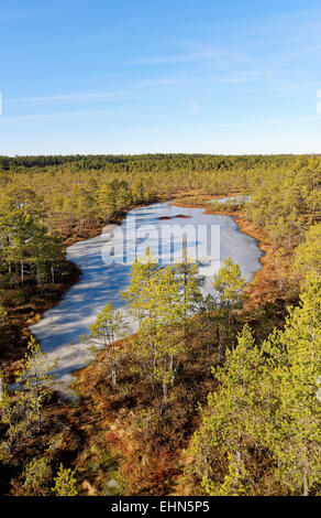 Gefrorenen Moor-Pools in Viru Moor, Lahemaa Nationalpark, Estland Stockfoto