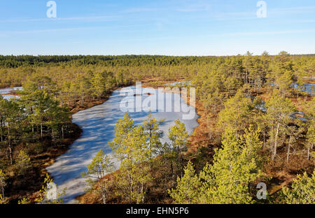 Gefrorenen Moor-Pools in Viru Moor, Lahemaa Nationalpark, Estland Stockfoto