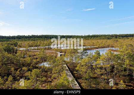 Gefrorenen Moor-Pools in Viru Moor, Lahemaa Nationalpark, Estland Stockfoto