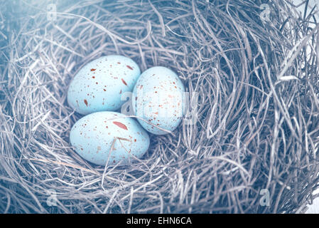 Drei Ostereier im Nest zu Ostern mit verträumten blauen Muskelaufbau Stockfoto