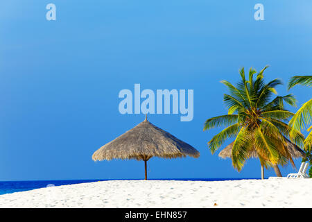 Sonnenschirm unter Palme Stockfoto