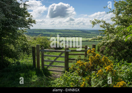 Blick Richtung East Meon von Butser Hill in den South Downs National Park, Sommersonne und Wolken Stockfoto