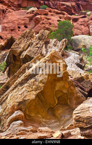 Seltsam erodierten Felsen in Capital Reef Nationalpark im US-Bundesstaat Utah. Stockfoto