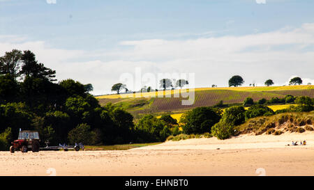 Lunan Bay, Schottland Stockfoto