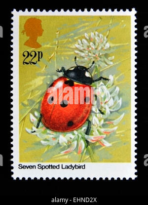 Briefmarke. Great Britain. Königin Elizabeth II. 1985. Insekten. Sieben entdeckt Marienkäfer (Coccinella Septempunctata). 22p. Stockfoto