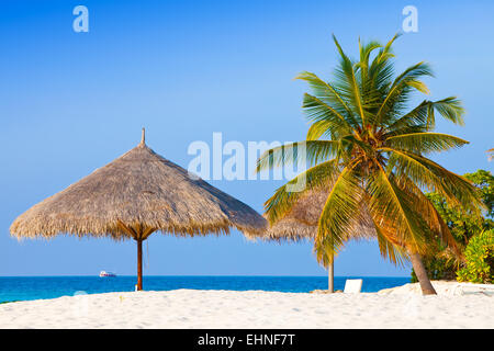 Sonnenschirm unter Palme Stockfoto