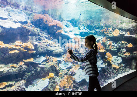 7 Jahre alten Mädchen beobachten Fische in einem Aquarium. Stockfoto