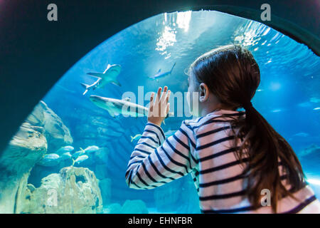 7 Jahre alten Mädchen beobachten Fische in einem Aquarium. Stockfoto