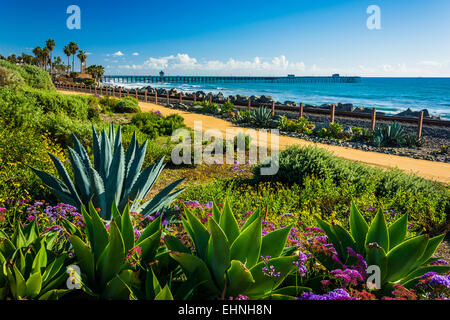 Bunte Blumen und Blick auf dem Fishing Pier bei Linda Lane Park in San Clemente, Kalifornien. Stockfoto