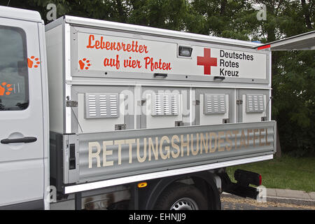 Rettungshunde Stockfoto