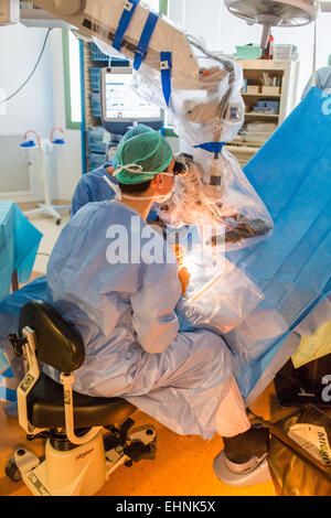 Katarakt-Operation, Installation von intraokulare Implantat, Krankenhaus in Bordeaux, Frankreich. Stockfoto