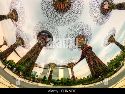 Singapur - 19 März: Nachtansicht von The Supertree Grove Gardens an der Bucht am 19. März 2013 in Singapur. 101 Hecta überspannt Stockfoto