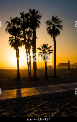 Sonnenuntergang über Palmen in Santa Monica, Kalifornien. Stockfoto