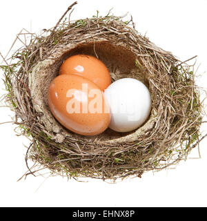 Nest, drehte ihn von Grass mit Eiern Stockfoto