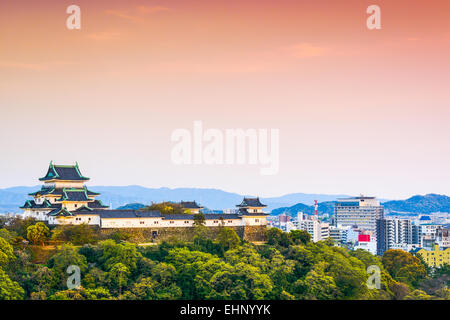 Wakayama, Japan Schloss und die Innenstadt von Stadtbild. Stockfoto