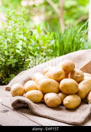 Bauernhof frischen Babykartoffeln angezeigt auf meschotschek hessischen auf einem rustikalen Holztisch in Agrar-Markt, eine gesunde nahrhafte Wurzelgemüse beliebt in vegetarische und vegane Küche Stockfoto