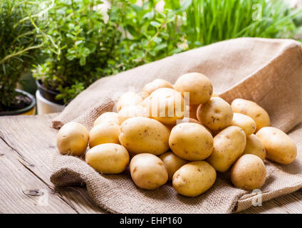 Bauernhof frische Babykartoffeln auf meschotschek hessischen auf einem rustikalen Holztisch am Bauernmarkt, eine gesunde, nahrhafte Wurzel PA angezeigt Stockfoto