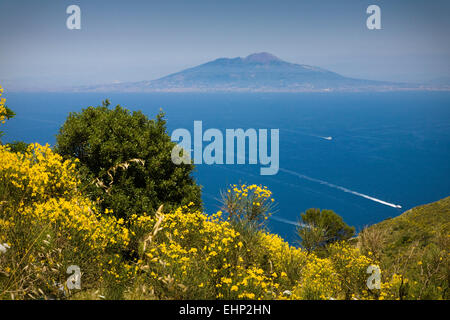 Herrlichem Blick auf den Vesuv vom Gipfel des Monte Solaro, Capri, Neapel, Italien Stockfoto