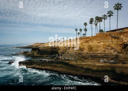 Wellen, die auf den Klippen entlang des Pazifischen Ozeans am Sunset Cliffs Natural Park, Point Loma, Kalifornien. Stockfoto