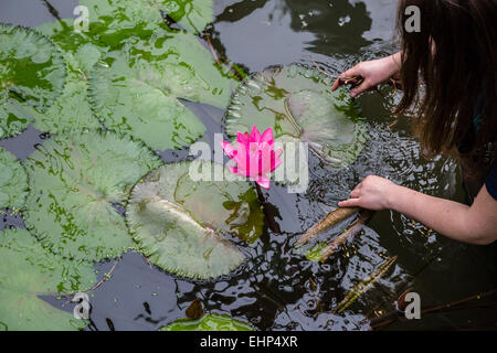 London, UK. 16. März 2015. Die Prinzessin von Wales Conservatory an die Royal Botanical Gardens, Kew Credit: Guy Corbishley/Alamy Live-Nachrichten Stockfoto