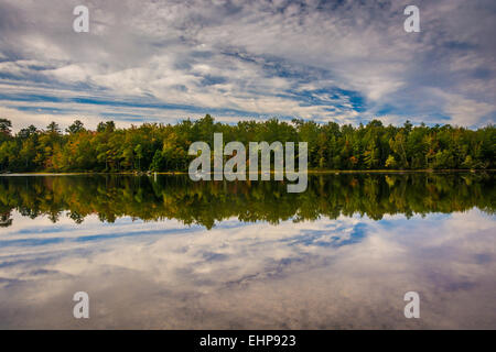 Anfang Herbst Reflexionen an Toddy Teich in der Nähe von Orland, Maine. Stockfoto