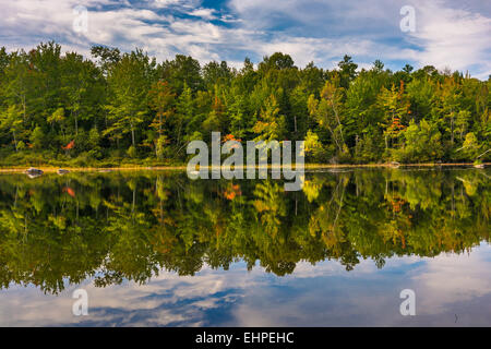 Anfang Herbst Reflexionen an Toddy Teich in der Nähe von Orland, Maine. Stockfoto