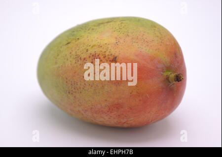 Mango-Frucht auf weißem Hintergrund Stockfoto