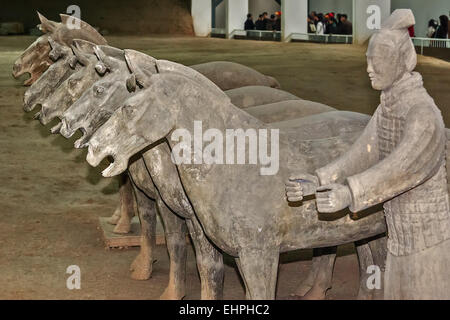 Teil der Terrakotta Armee Xian China Stockfoto