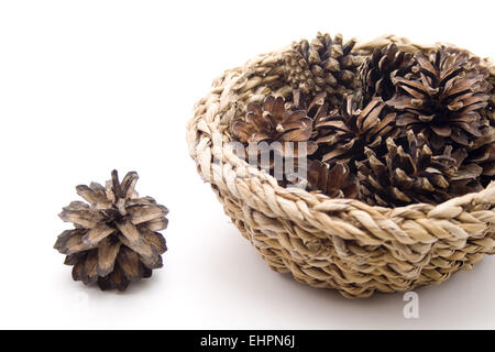 Kiefer-Stecker in den Korb Stockfoto