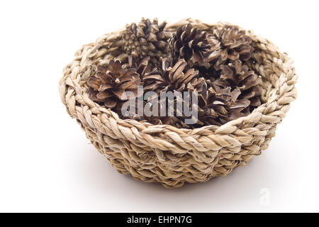 Kiefer-Stecker in den Korb Stockfoto