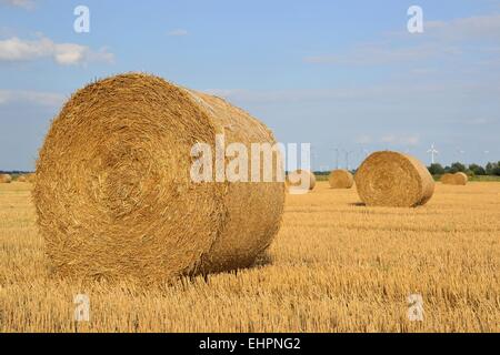 Stroh Rundballen in einem Feld Stockfoto