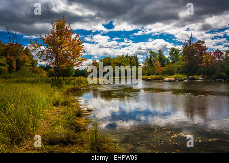 Nordosten Creek, auf Mount Desert Island in Bar Harbor, Maine. Stockfoto