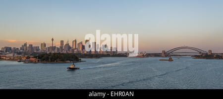 Kreuzfahrt in Sydney Harbour am frühen Morgen bei Sonnenaufgang. Stockfoto