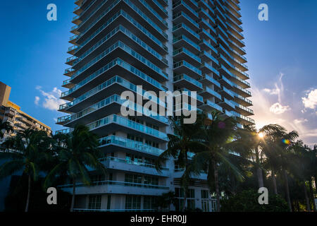 Sonnenuntergang über Palmen und ein Hochhaus in Belle Isle, Miami Beach, Florida. Stockfoto