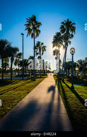 Die Sonne scheint durch Palmen entlang eines Pfads in Daytona Beach, Florida. Stockfoto