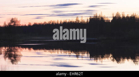 Abendstimmung im Wald, wischen Effekt, Schweden Stockfoto