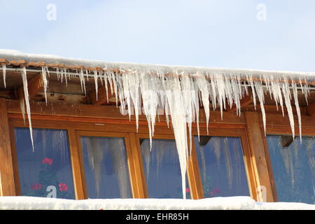 lange große Eiszapfen auf einem Hausdach in einem kalten Wintertag Stockfoto