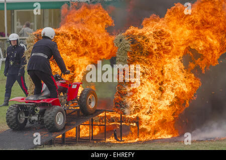 Britische Armee Motorrad Display Team Stockfoto